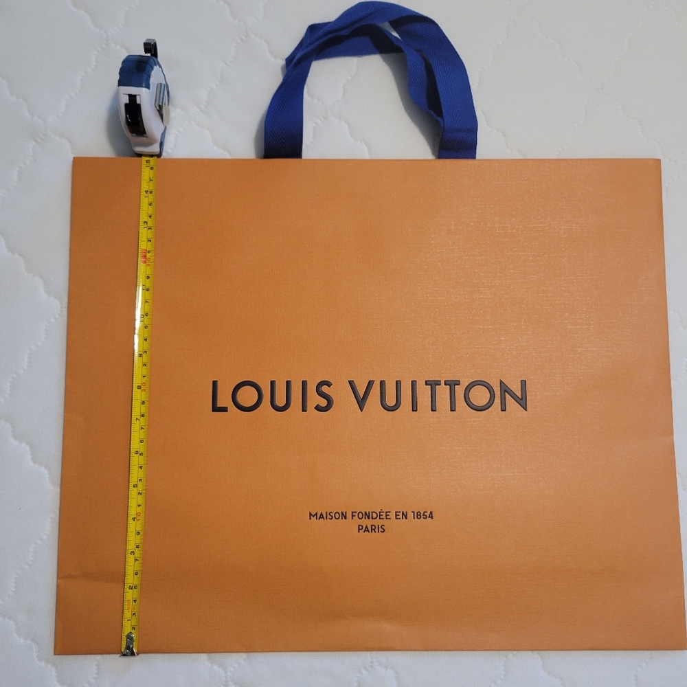 Louis Vuitton Store Bag